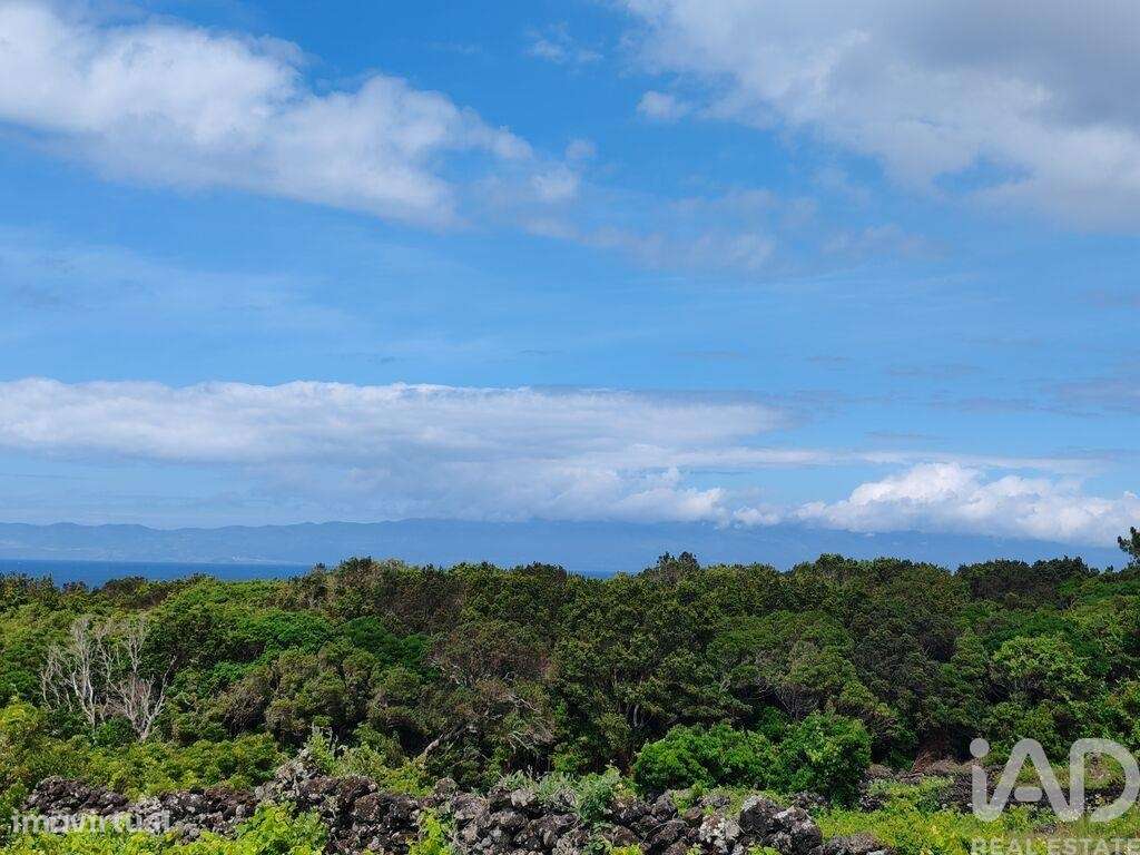 Terreno em Santa Luzia de 2914,00 m2 - Grande imagem: 5/15