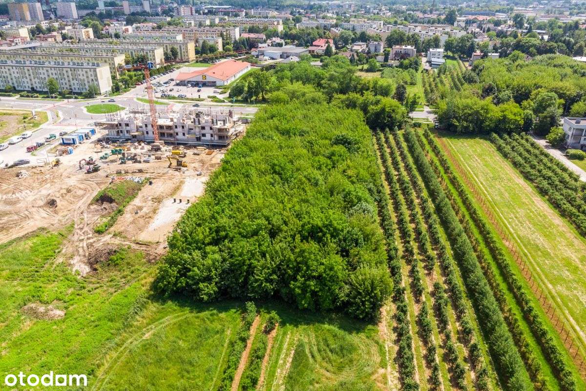 Działka Dla Dewelopera Tarnów-13