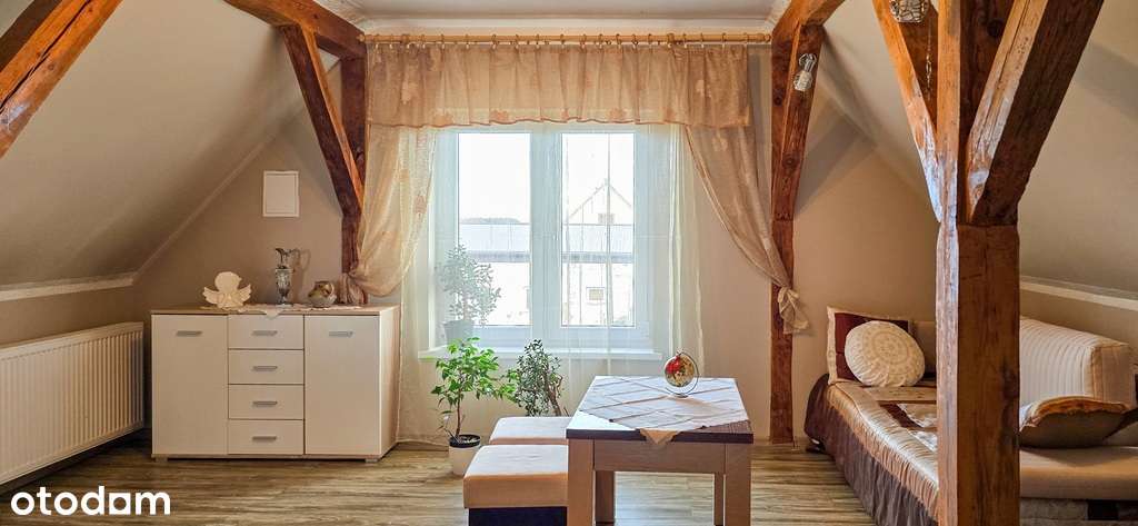 Dom w otoczeniu przyrody, Borki- działka 8497 m2-1