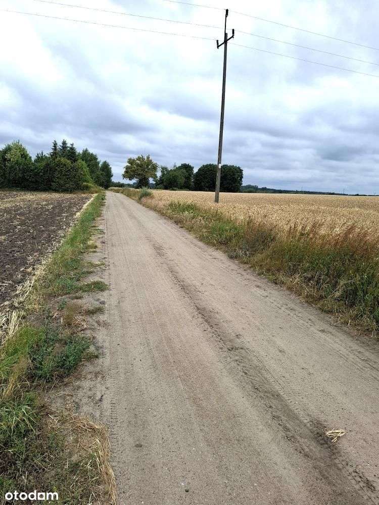 Działka, 985 m², Grzebienisko-2