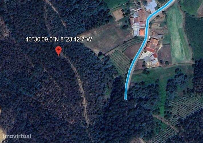 Terreno com 27.000m2, Aguada de Cima, Águeda - Grande imagem: 5/15