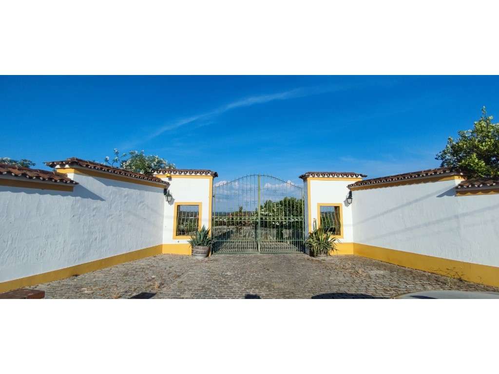 Quinta com 3 ha com MoradiaT5 e piscina em Redondo - Grande imagem: 4/18