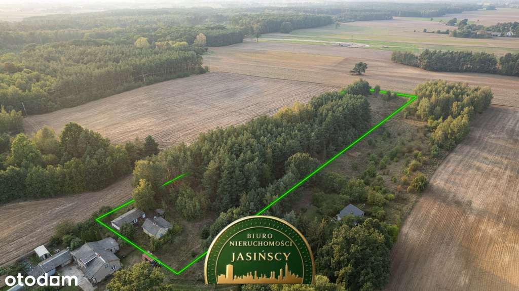 Działka z lasem | Sprzedaż | 1,11 ha | Trzcianka - Pełny obrazek: 5/6