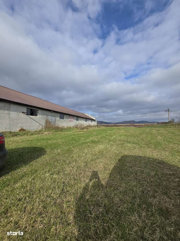 Teren Extravilan + o constructie  de Vânzare – Șeica Mică-0