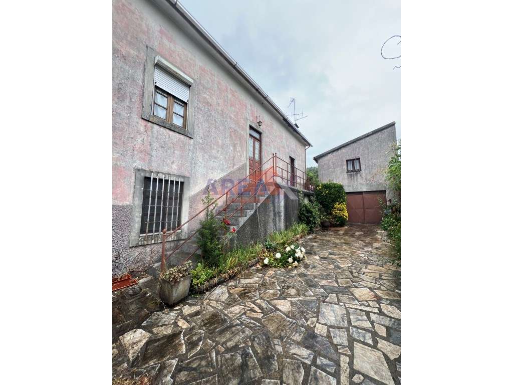 Oportunidade: 2 casas + artigo rústico com 2,0648 ha, perto de Oliv...-10