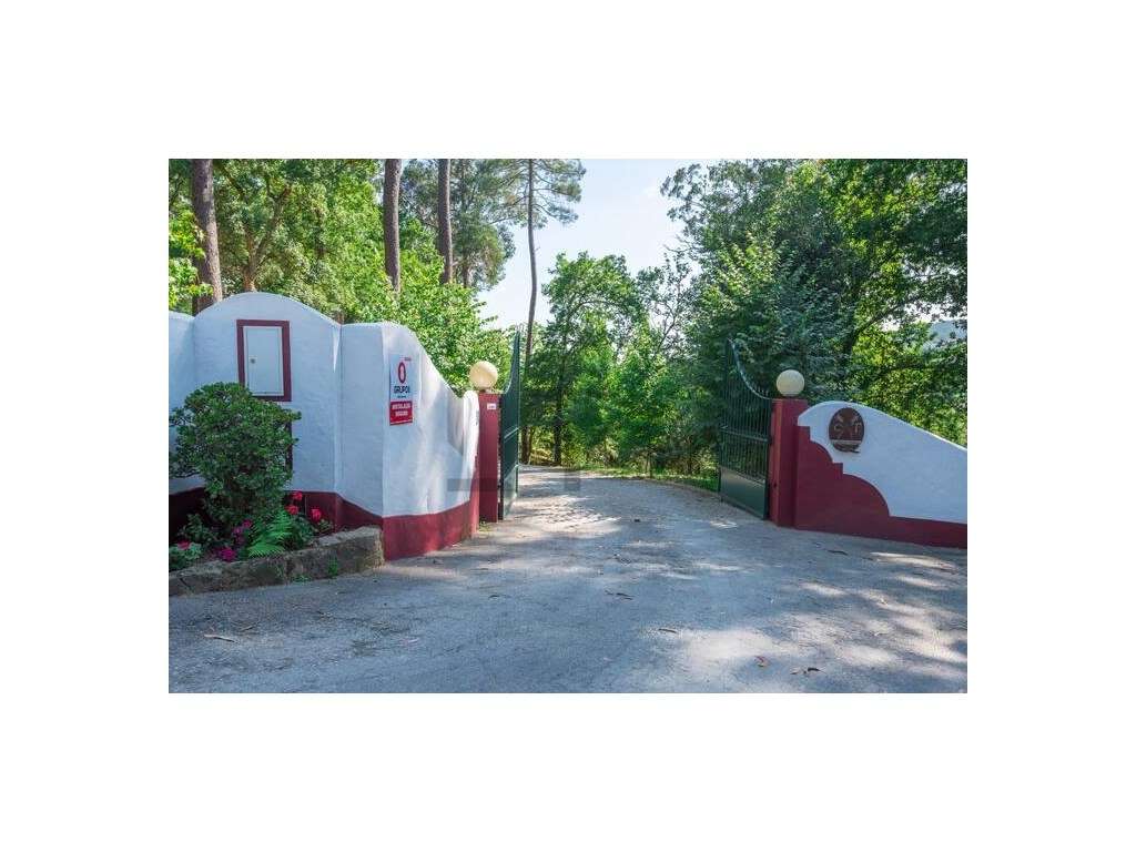 Quinta de Charme com Vinhas, Produção de Vinho e Piscina, para Vend... - Grande imagem: 2/60