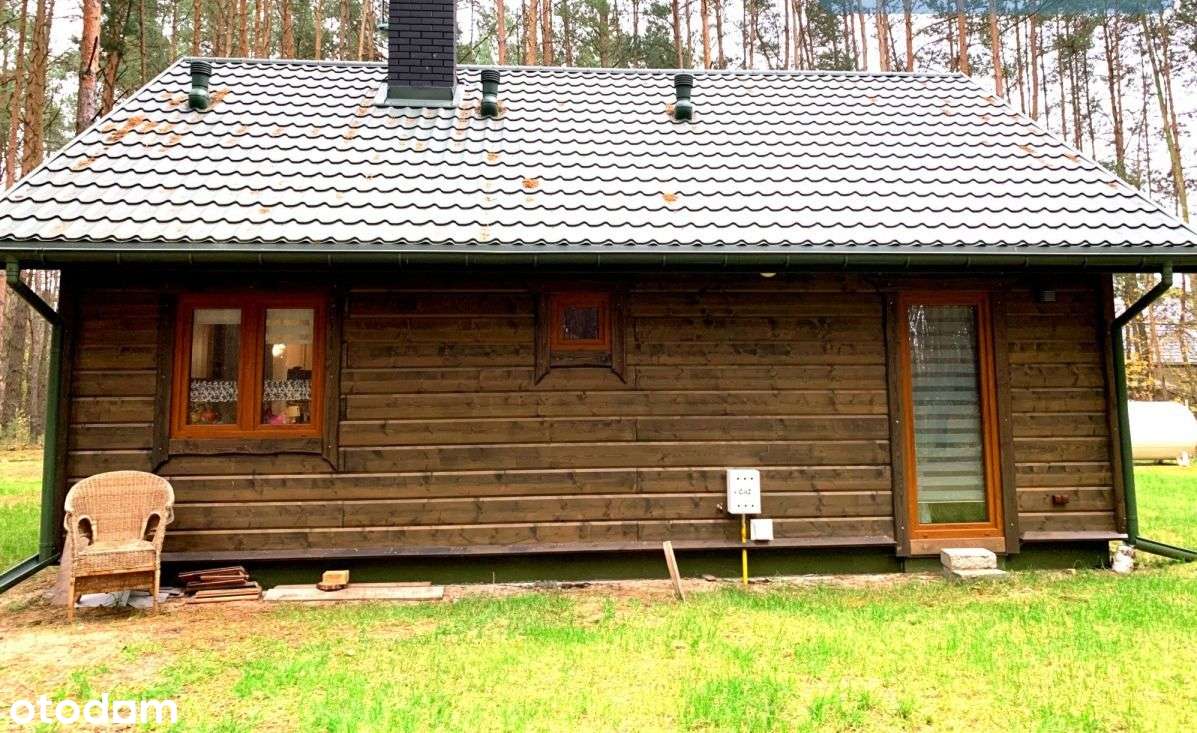 Nowy/Całoroczny domek/Las/Rzeka-6