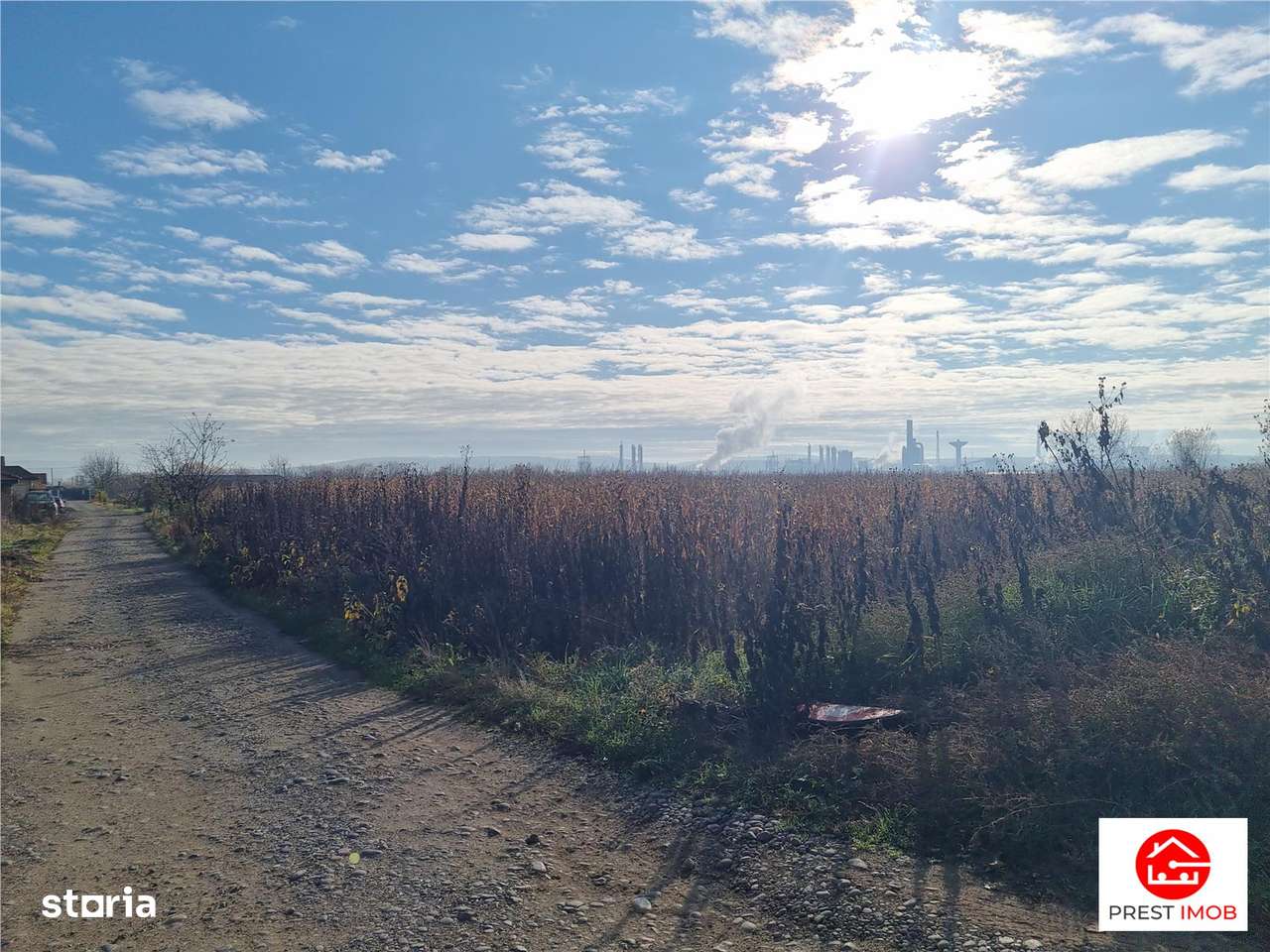 Teren intravilan 39 arii, posibil 7 parcele, strada graului, Nazna-1