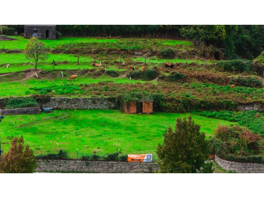 Terreno de Construção com 7.250 m2. - Grande imagem: 2/10