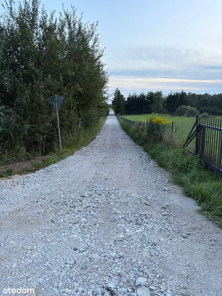 Działka w Tomaszkowie - nowa cena !-10