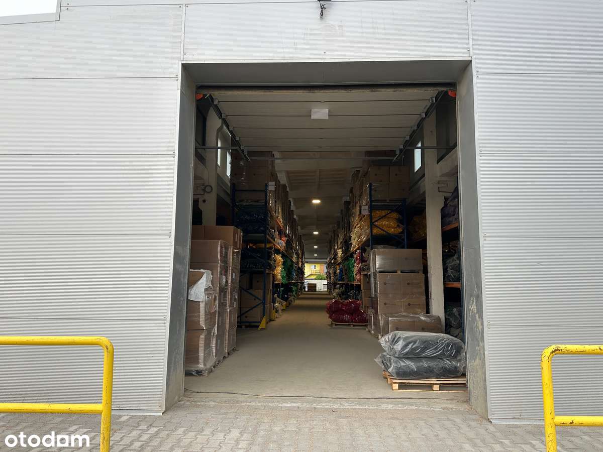 Hala 1600 m2 + plac 13.000 m2 utwardzony monitorowany - Pełny obrazek: 4/20