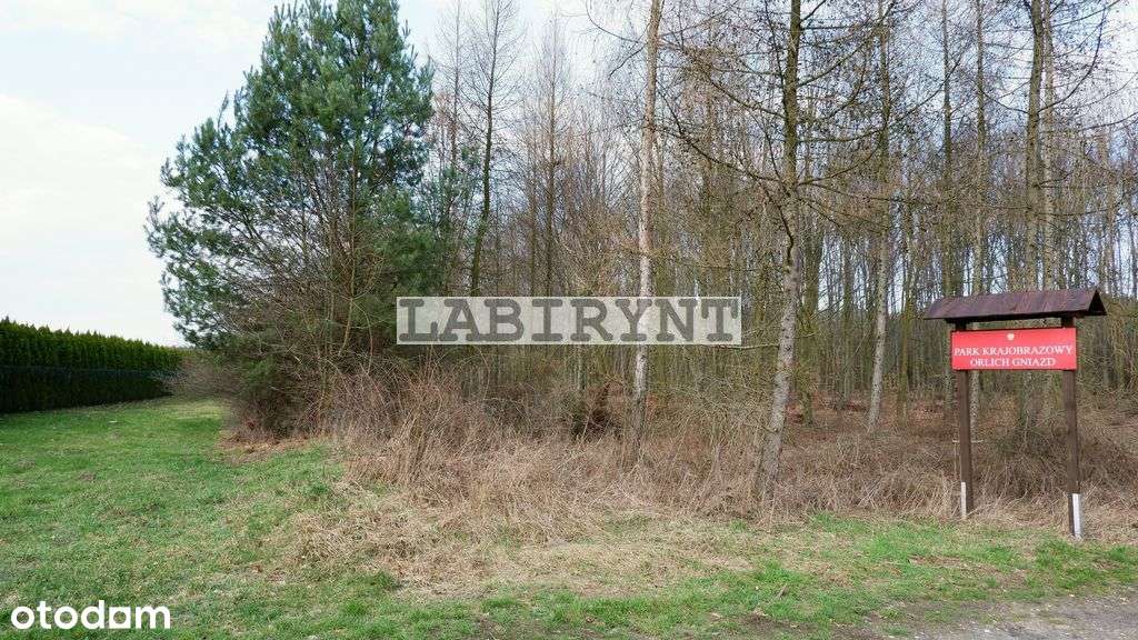 Mirów, Mączna, szerokość 20m, 2620m2, media-18