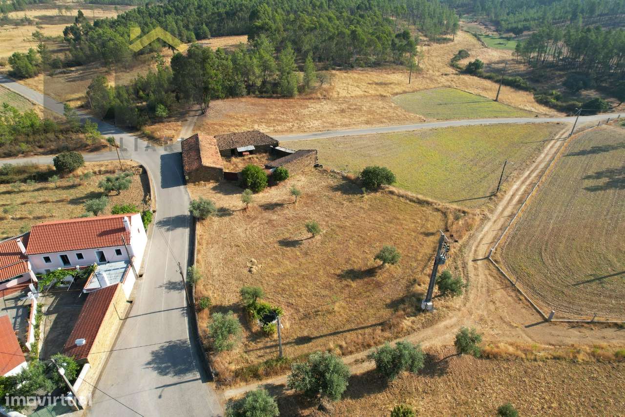 Quintinha  Venda em Sarzedas,Castelo Branco-19