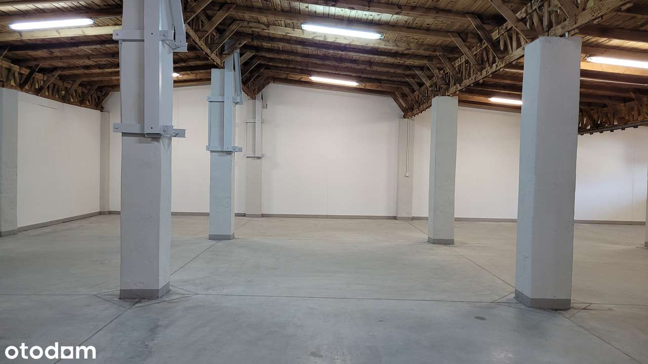 Hala magazynowo-produkcyjne 160 m² lub 303 m² bezpośrednio - Widok 2
