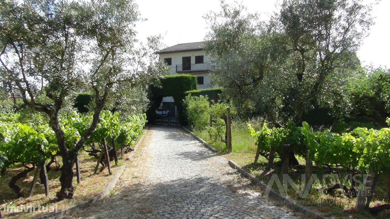 Moradia Isolada T3 Venda em Viseu,Viseu - Grande imagem: 5/60