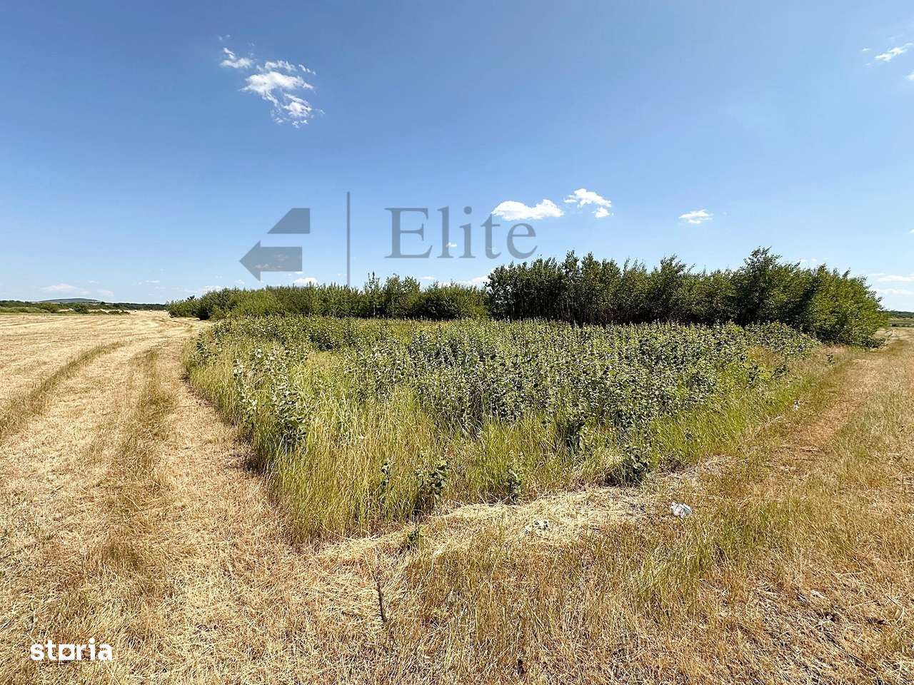 Teren intravilan 1114 mp Sanmartin - Imagine principală: 5/7