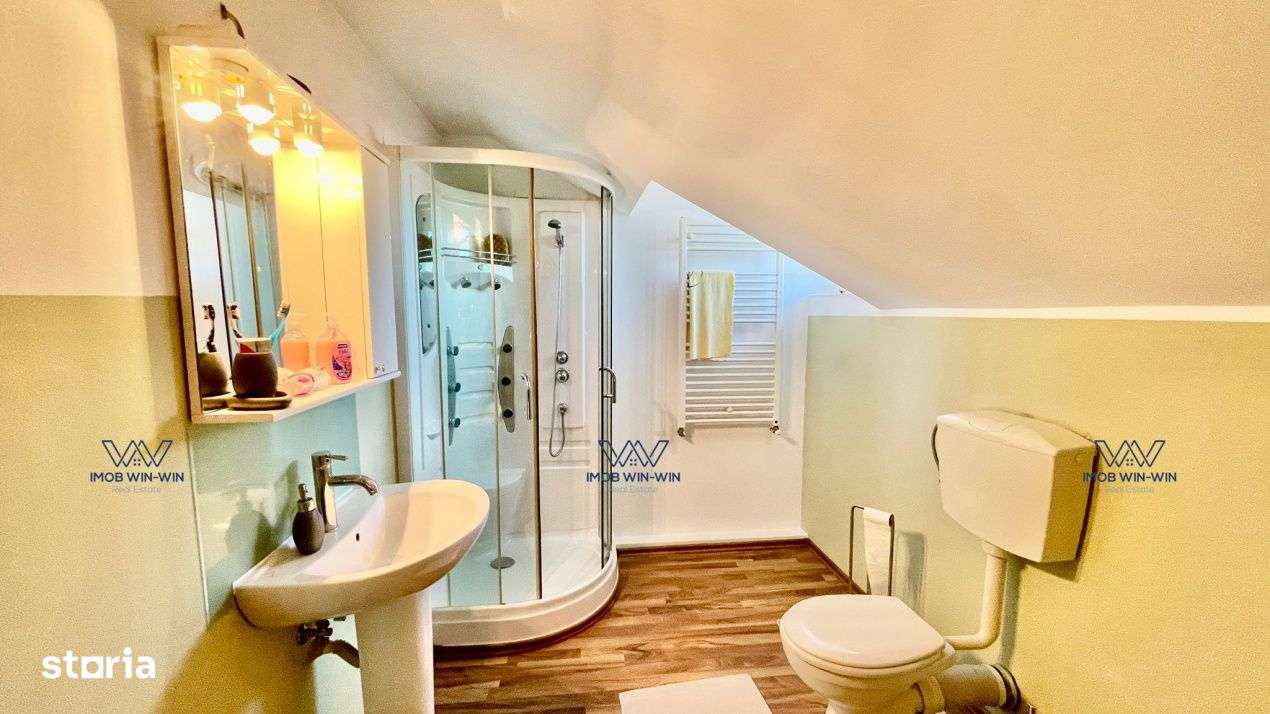 Proprietate Exceptionala cu Potential Dublu in Valea Ursului, Arges-13