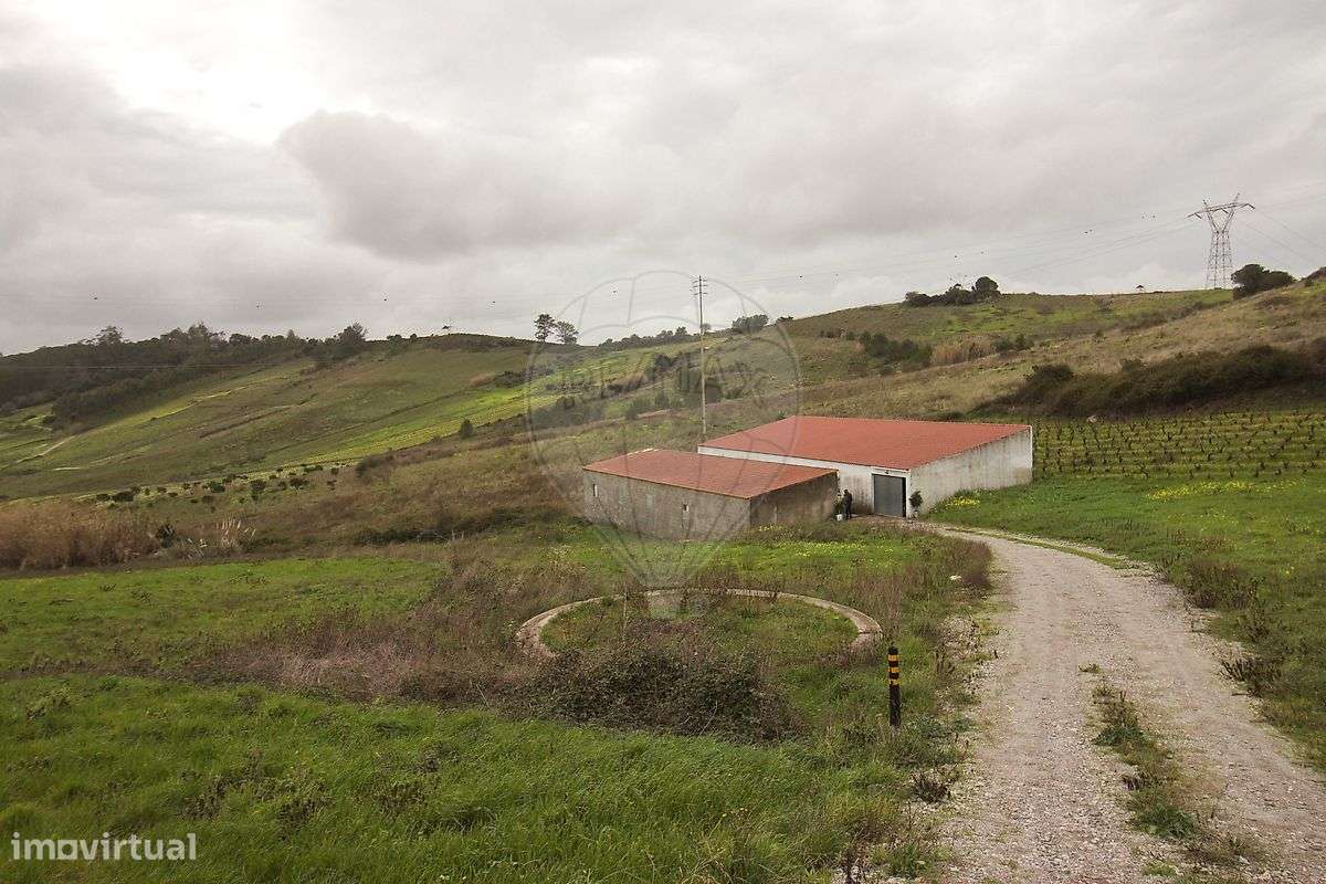 Armazém  para arrendamento - Grande imagem: 5/9