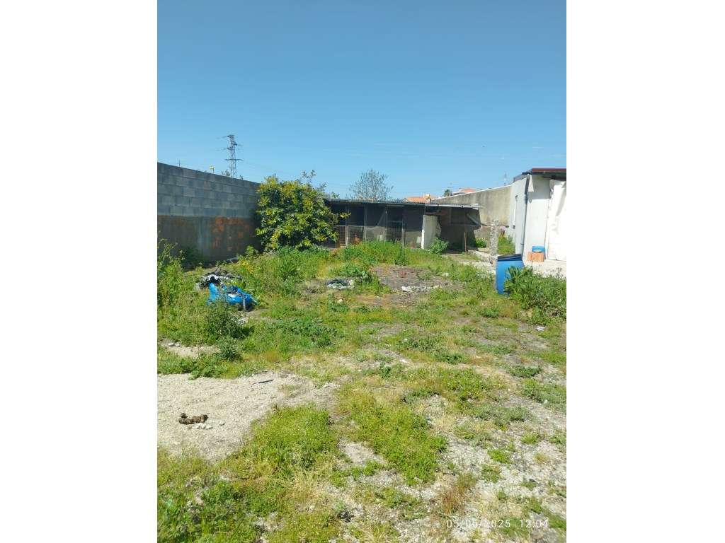 Moradia rustica para Restauro já com projeto aprovado em Touguinha ...-28