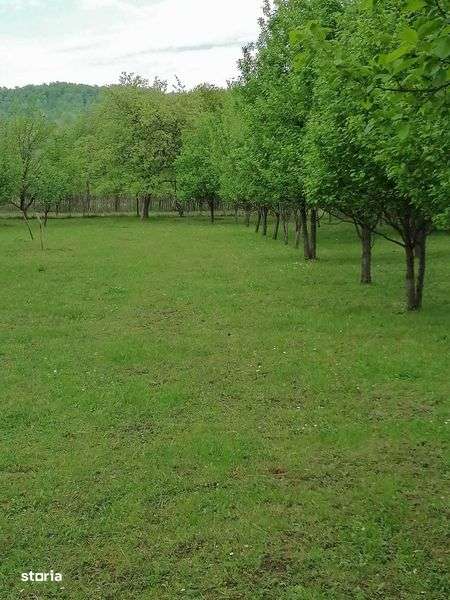 Teren de vanzare Prahova, Campina, Brebu - Imagine principală: 5/8