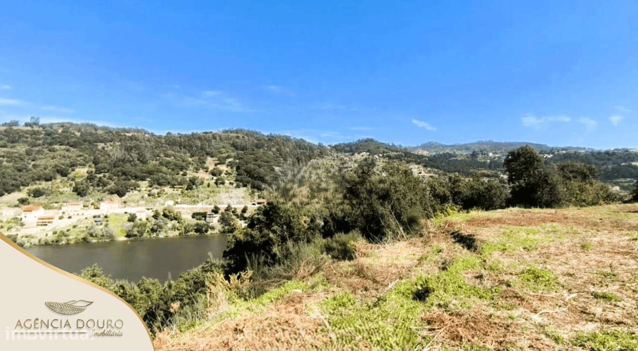 Terreno com 20.000m², frente para o rio Douro, proj. aprovado moradia - Grande imagem: 3/9