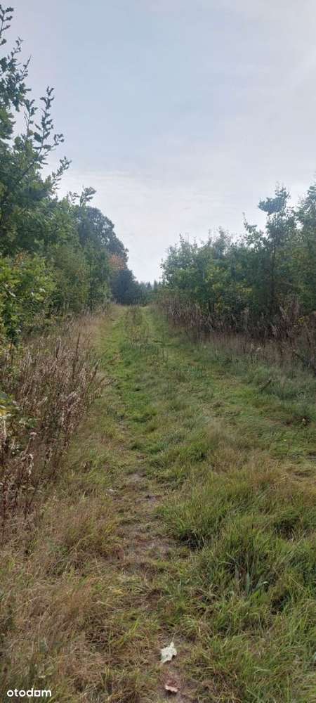 Malownicza działka rolna w pobliżu jeziora-5