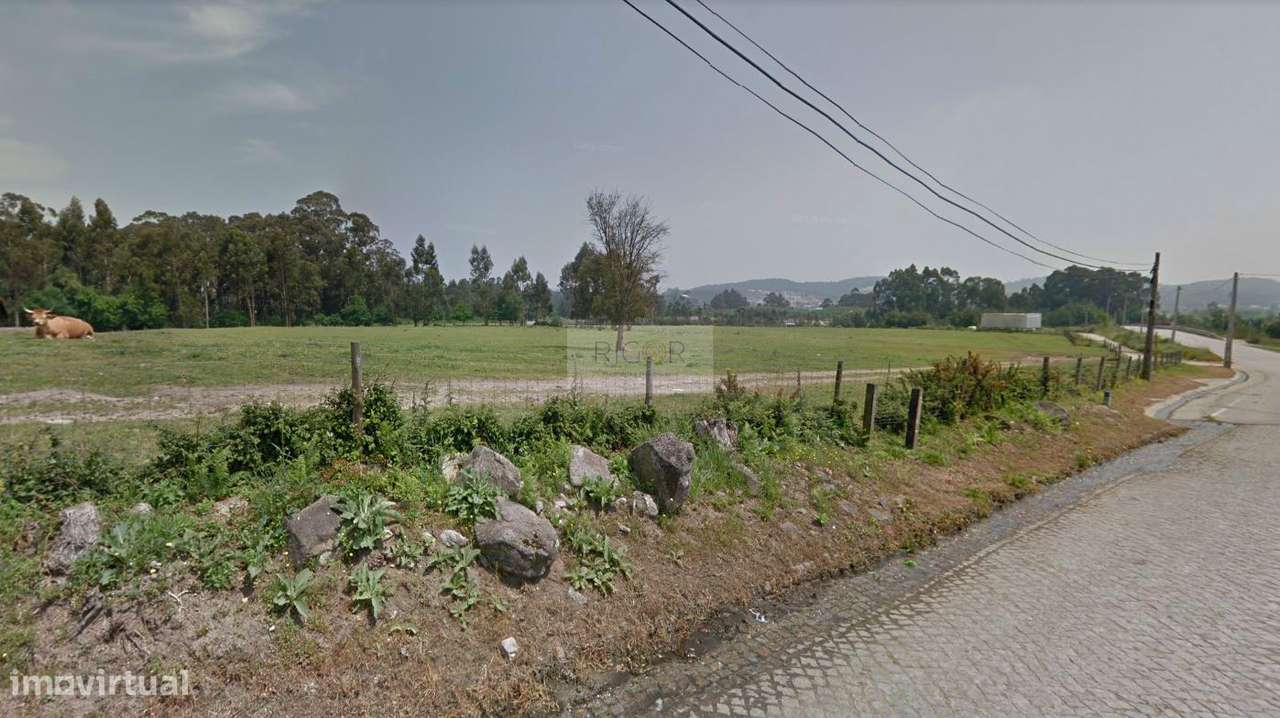 Terreno de 59.000m2 para construção à BIAL - Grande imagem: 5/8