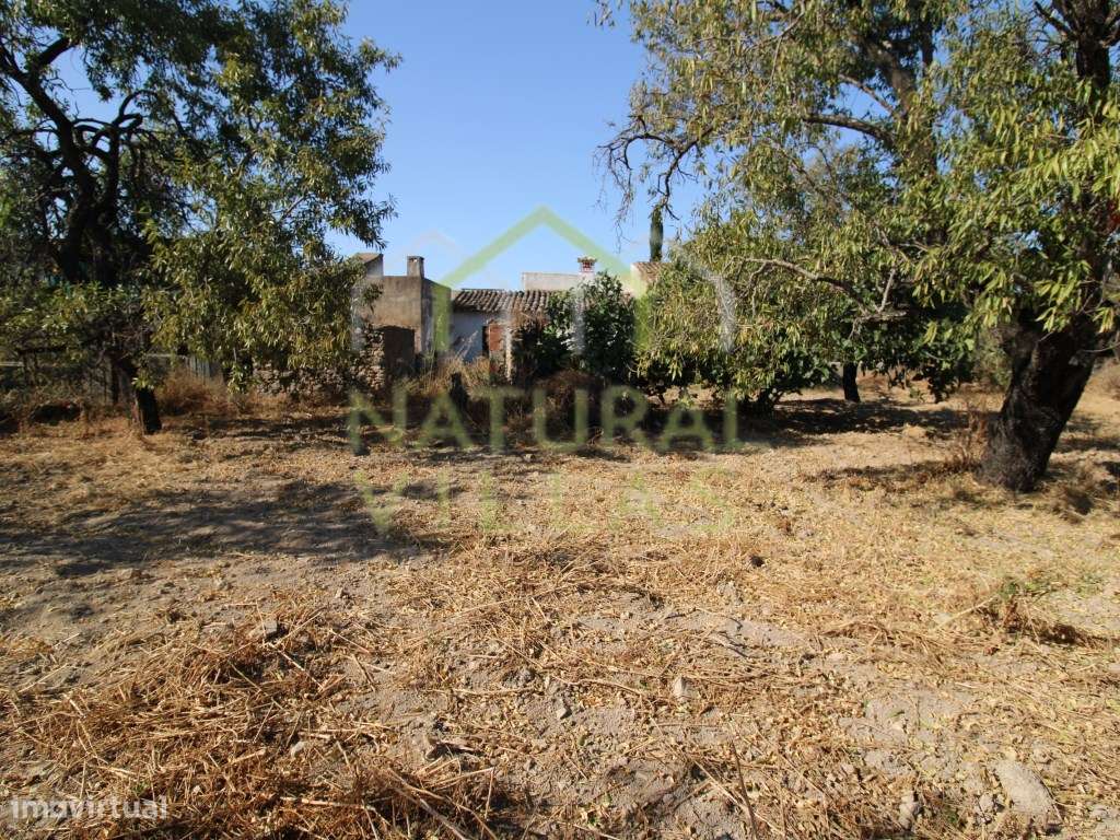 Casa antiga de Potencial e terreno em Guilhim, Estoi - Grande imagem: 3/10