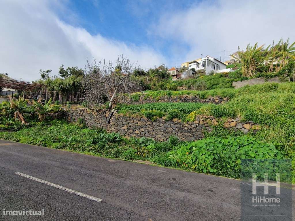 Terreno Rústico no Sítio da Pedra Mole, Ribeira Brava (Madeira) - Grande imagem: 4/16