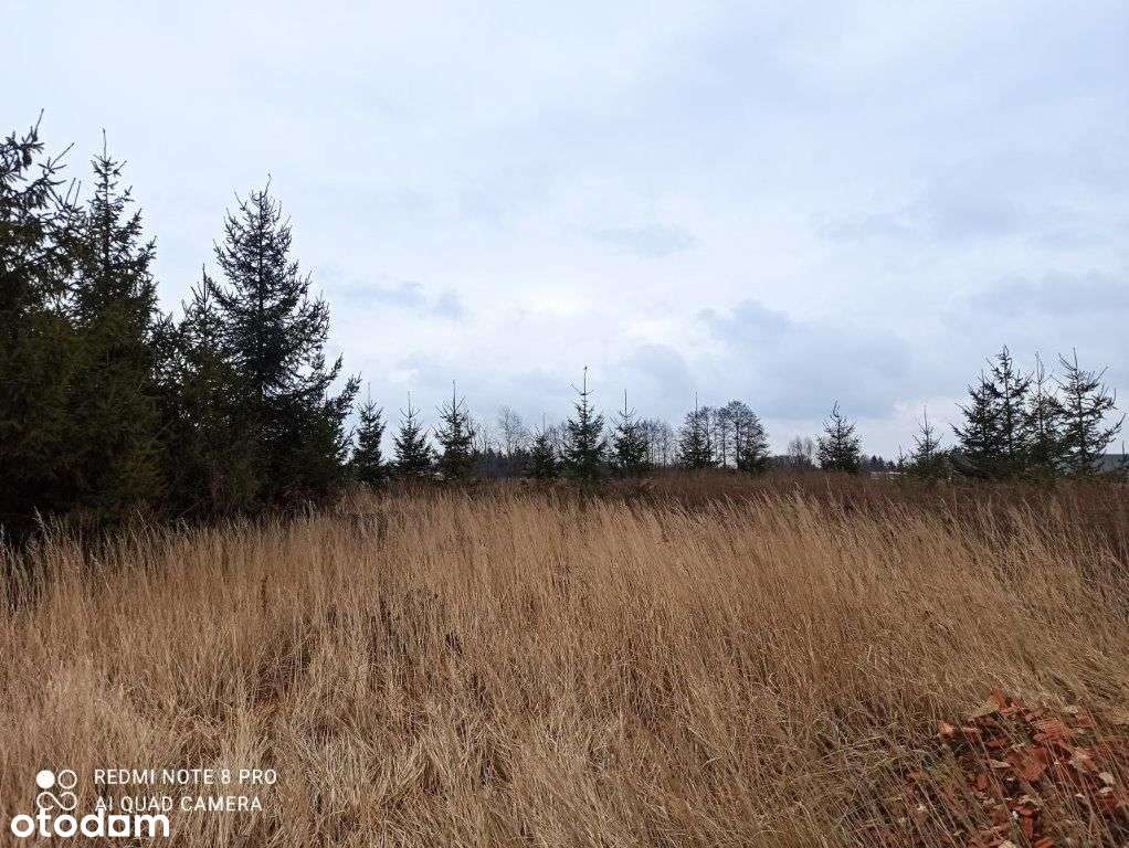 Działka 8000m2-Krzesiny-Ostrowska-0