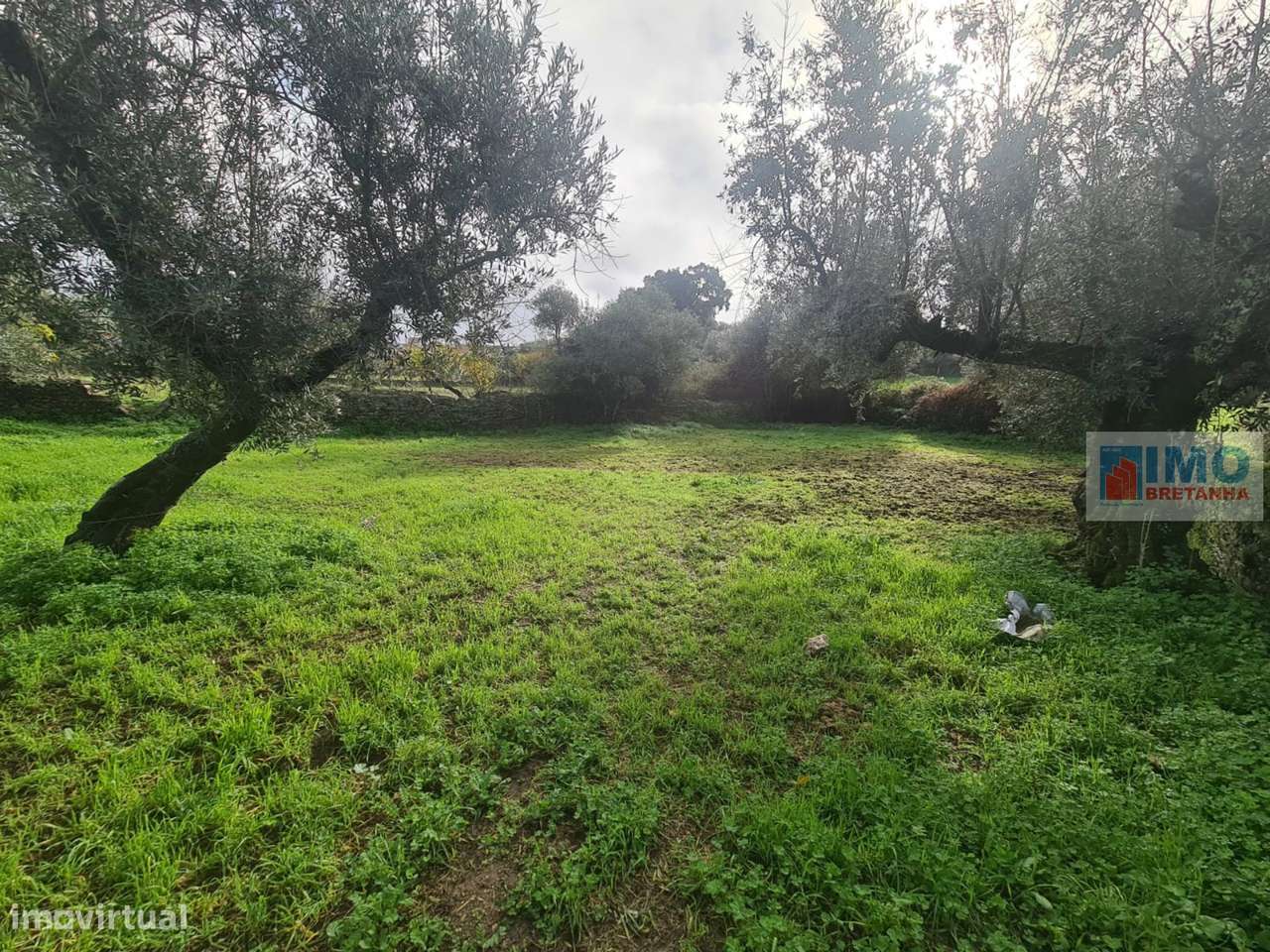 Quintinha no Retaxo - Grande imagem: 4/8