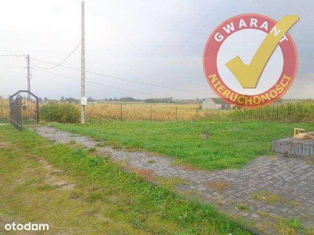 Dom Wolnostojący Z Halą W Wierzbowie Koło Lisewa ! - Pełny obrazek: 5/19