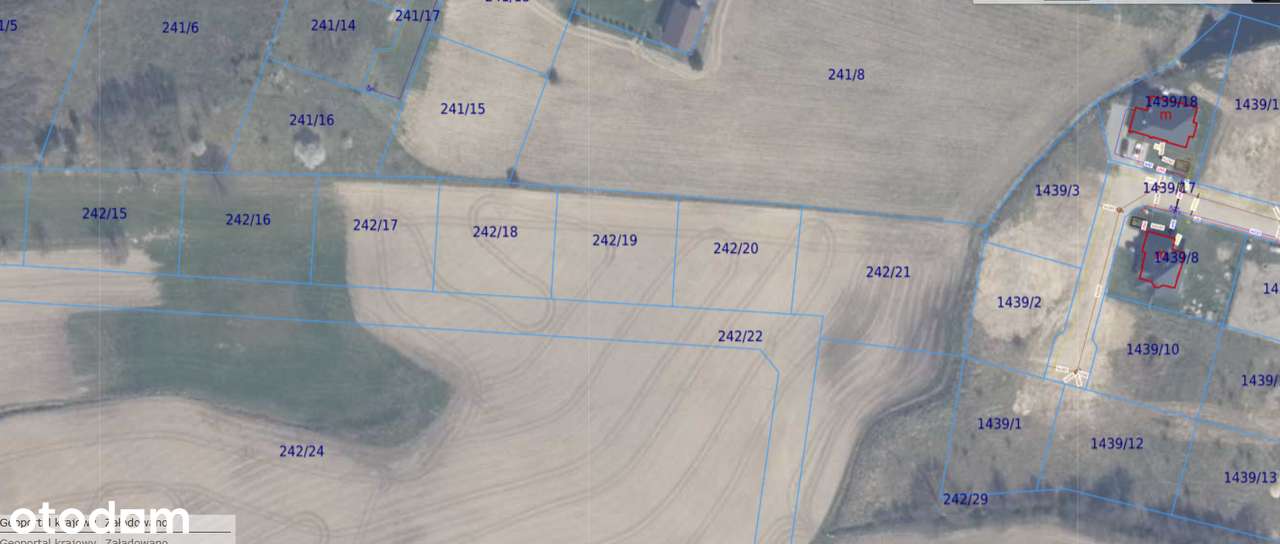 Działka z wydanymi warunkami zabudowy – Małkowo, nr 242/18-6