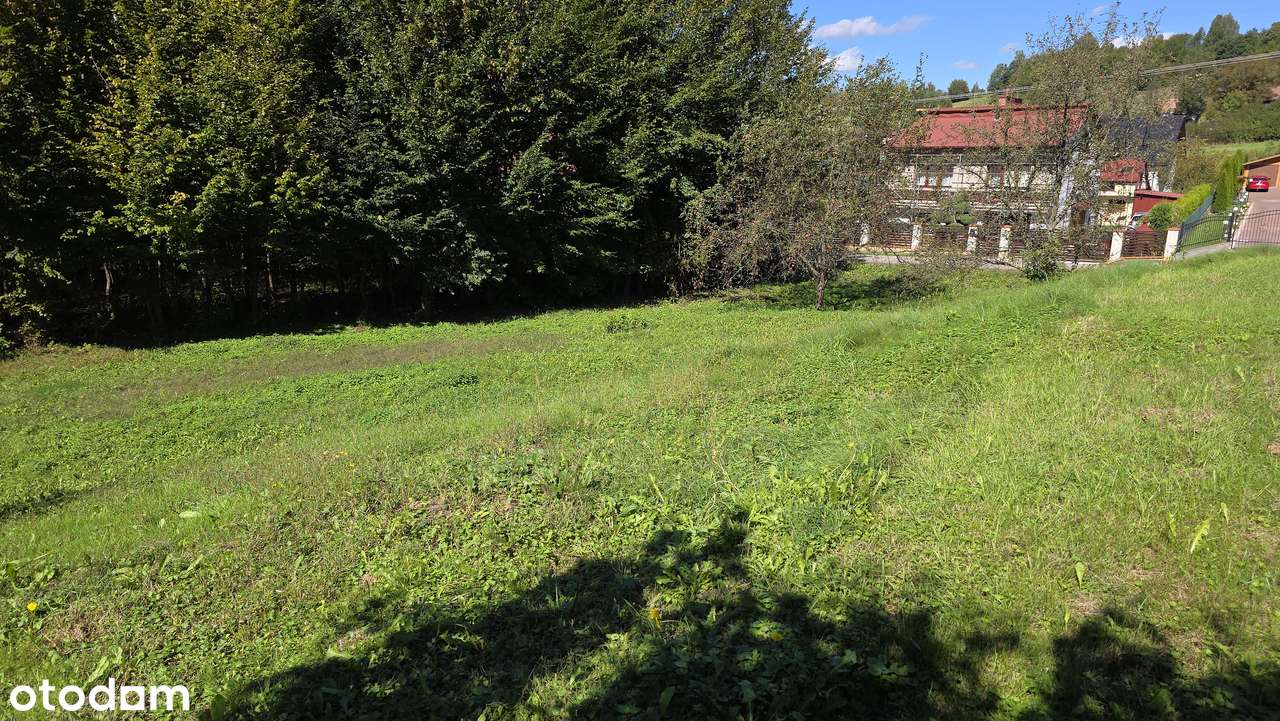 Działka w Woźnicznej - Pełny obrazek: 4/5