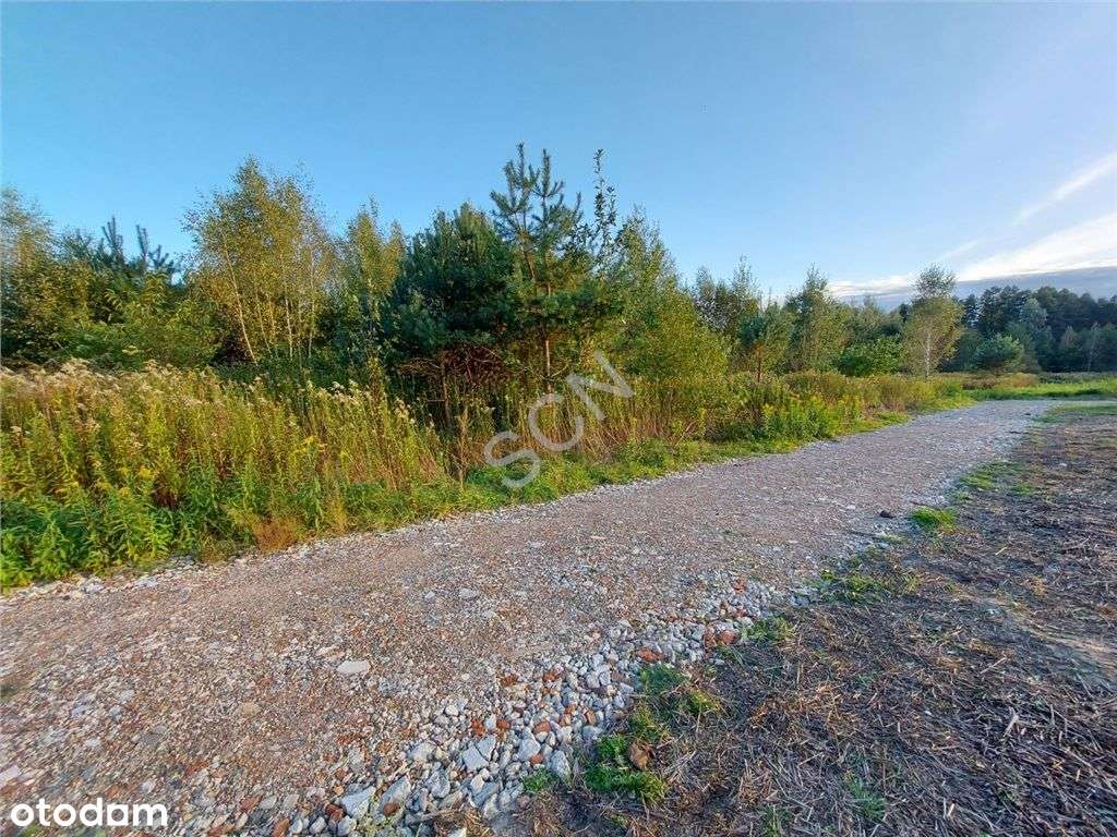 Atrakcyjnie Położona - Pełny obrazek: 4/8