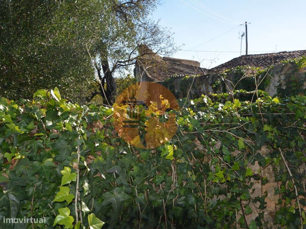 TERRENO COM POSSIBILIDADE PARA CONSTRUÇÃO 12 APARTAMENTOS - Grande imagem: 5/54