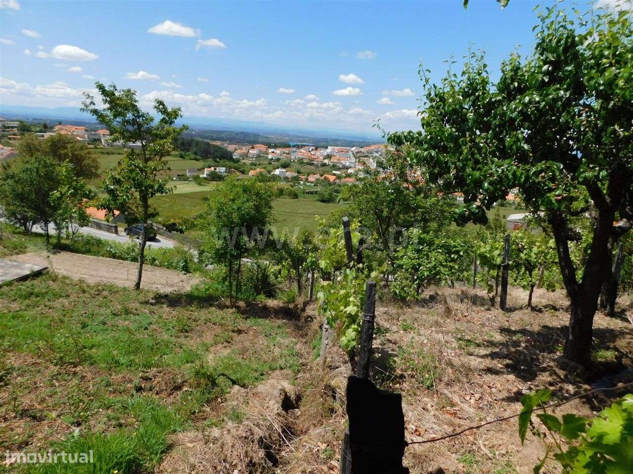 Terreno Rústico / Seia, São Romão - Grande imagem: 2/7