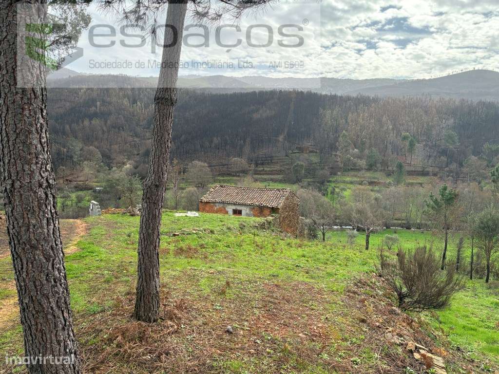 Magnifica Quinta-7