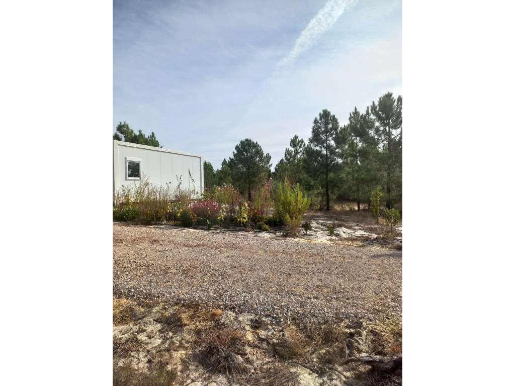 Terreno - Freguesia da Comporta-6