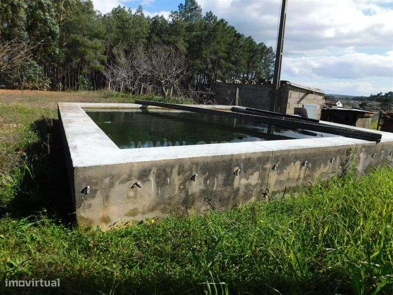 Quinta / Fundão, Quintas da Torre - Grande imagem: 4/8