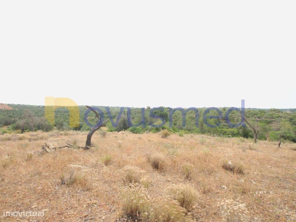 Casas antigas Albufeira - Grande imagem: 4/19