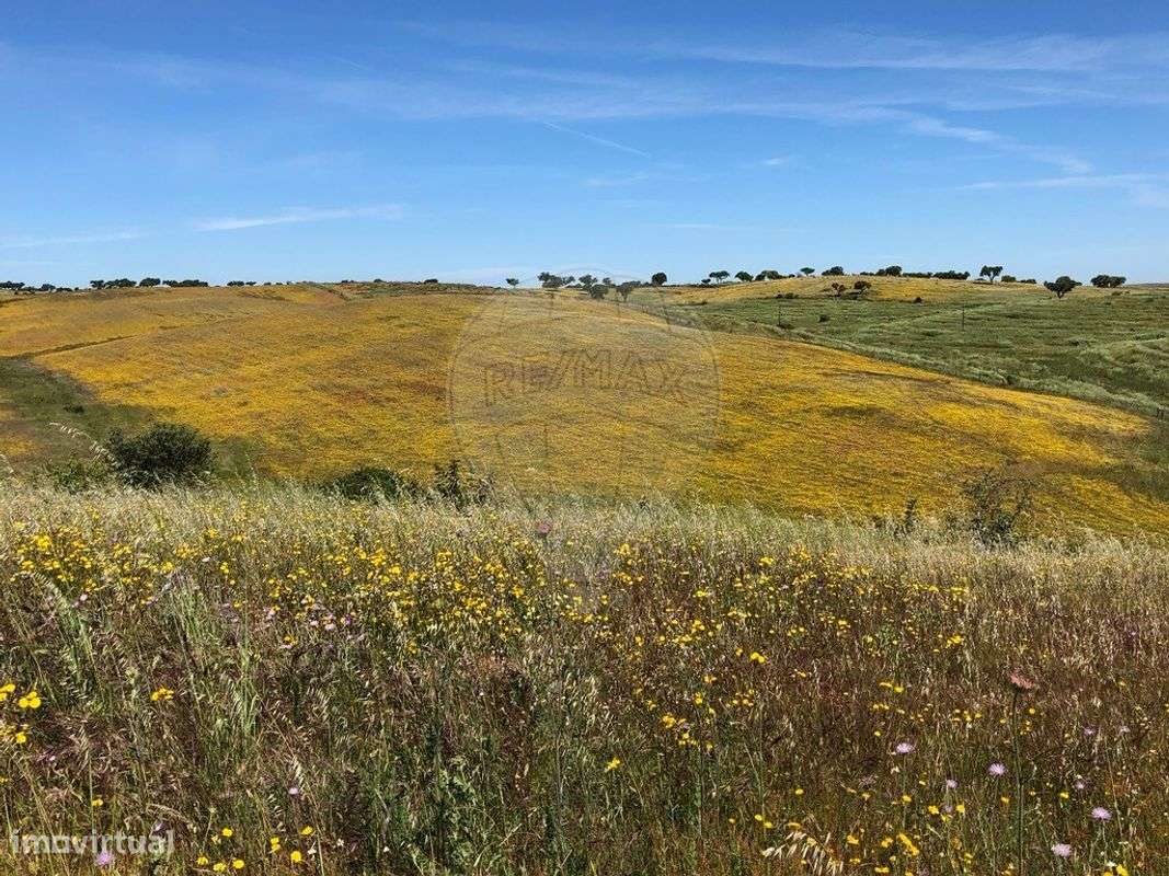 Quinta T6 para venda - Grande imagem: 5/20