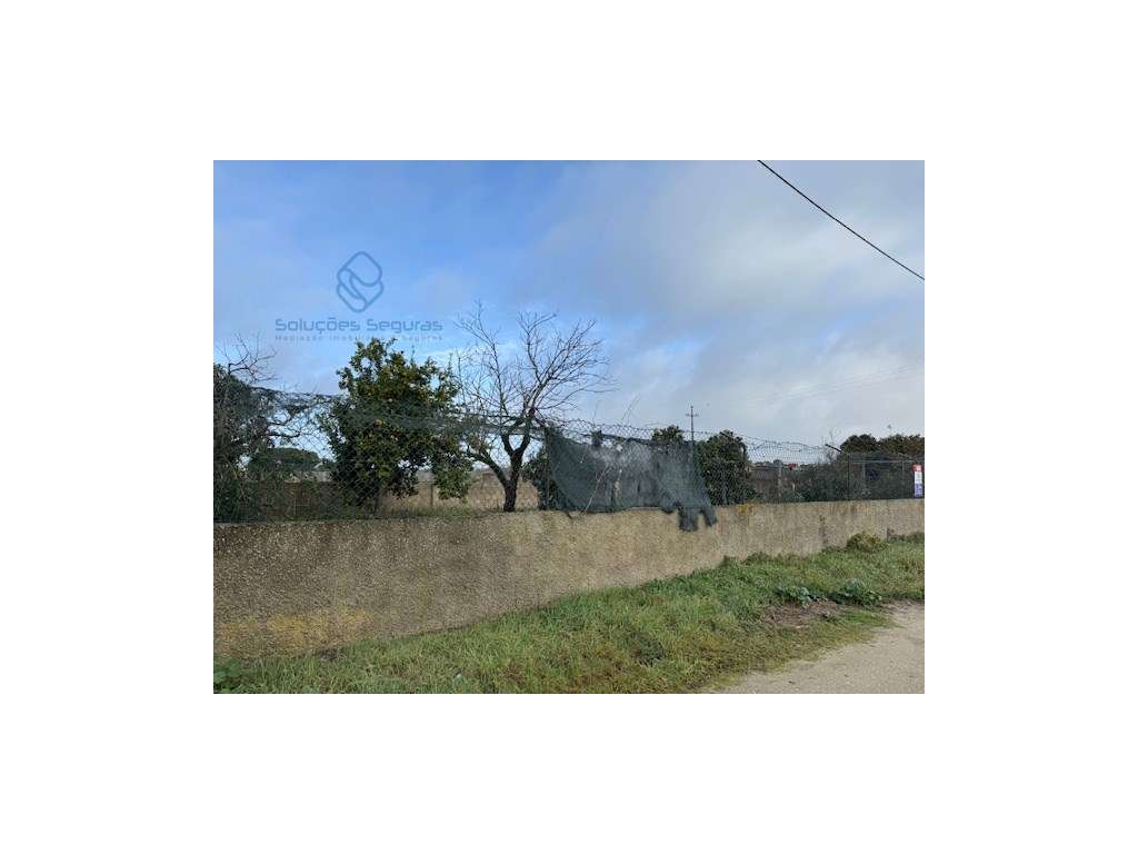 Terreno 595 m2 Penteado Moita-2
