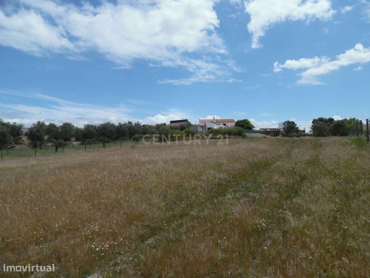 Quinta em Capelins,  Alandroal - Évora,  Oportunidade Única-30