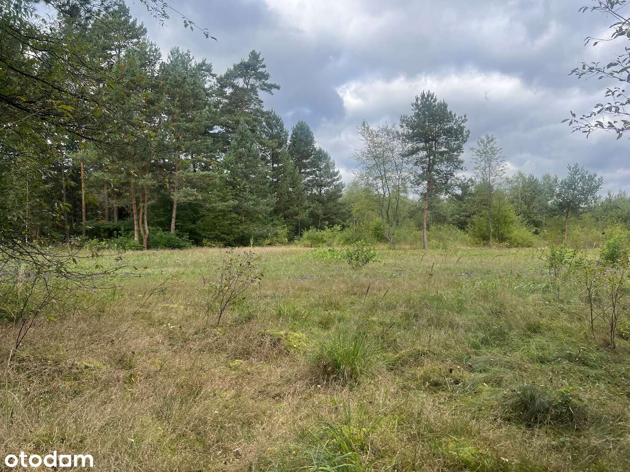 Potępa- piękne działki budowlane przy lesie od 1000m2 do 8000m2-0