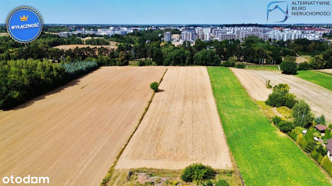 Atrakcyjna działka budowlano-rolna w Stasinie - Pełny obrazek: 5/19