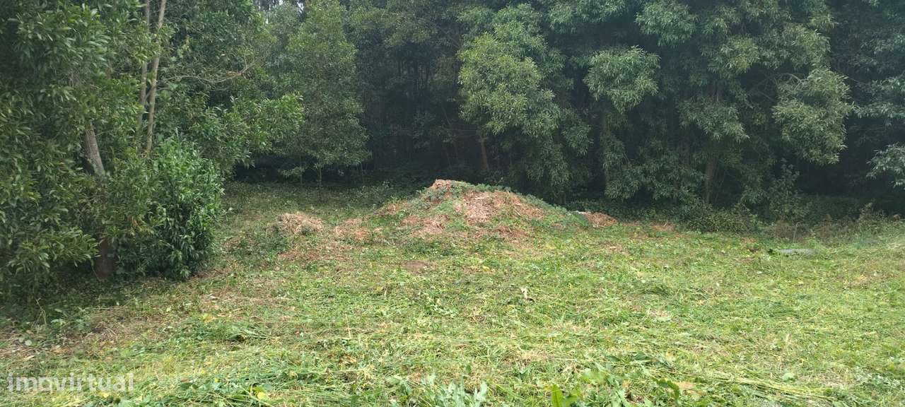 Terreno em Águeda com 7000 m²-1