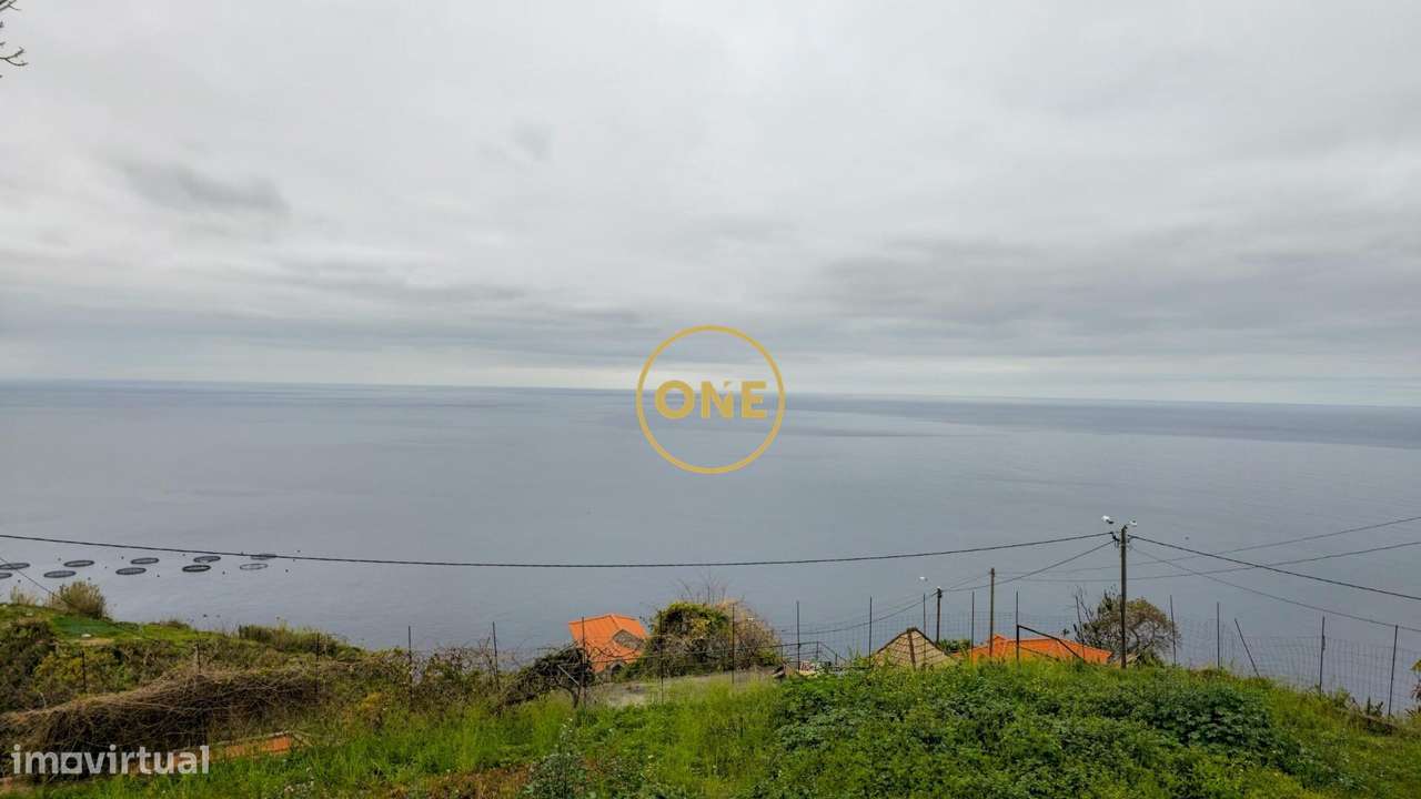 Terreno com 1231 m2 - Grande imagem: 4/41