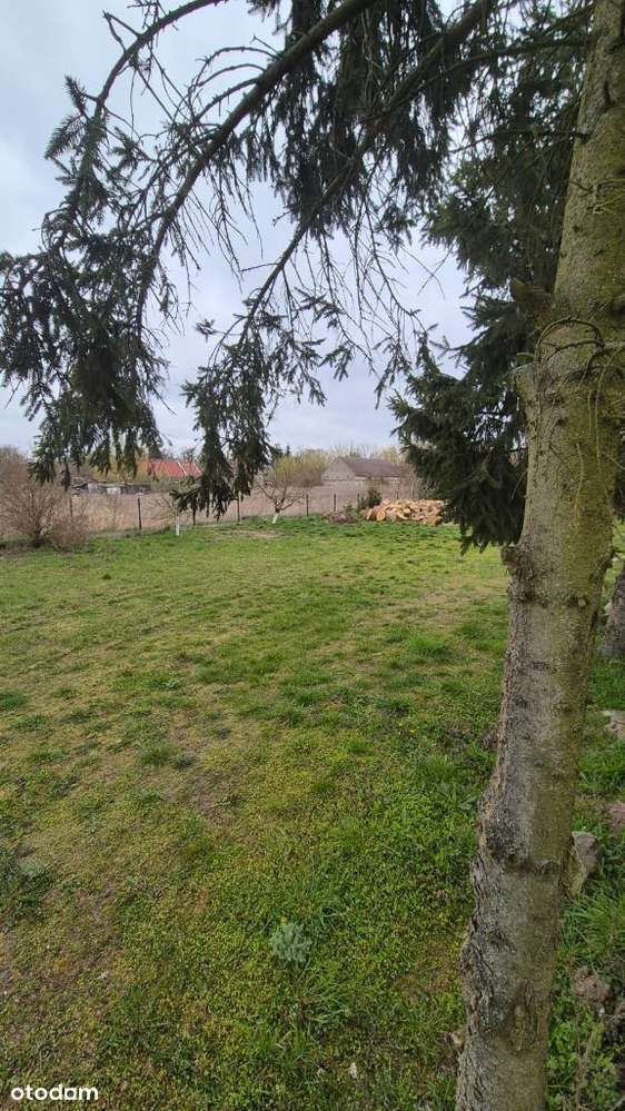 Dom w Starkowie z działką-19