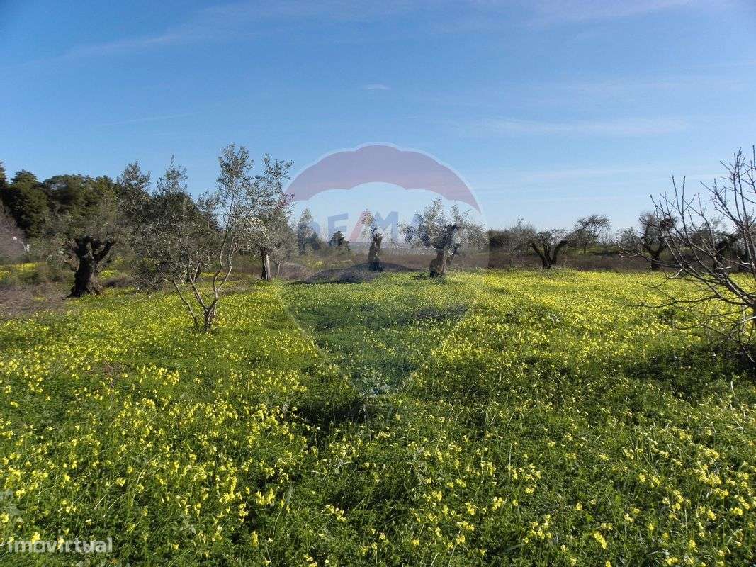 Terreno  para venda - Grande imagem: 4/28